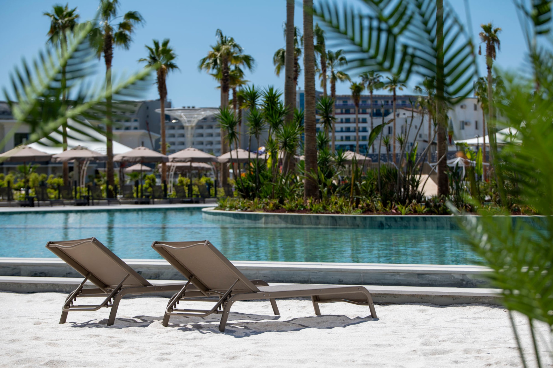 Oasis Pool
